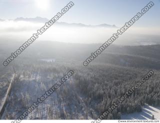 background winter nature forest 0014